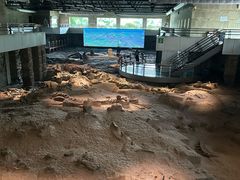 -自贡恐龙博物馆