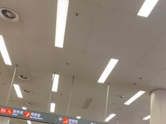 -厦门高崎国际机场-T4航站楼