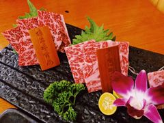 -本寻烧肉酒场(双井店)