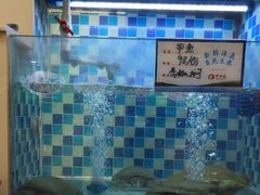 -野渡坡·极致湘菜·庭院餐厅(汉阳店)