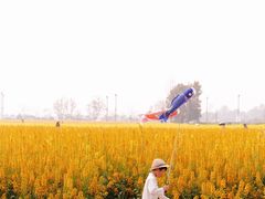 -中国天府农业博览园