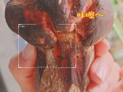 -阿兰白家宴