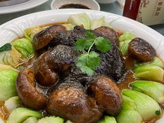 -顺德君豪酒店(佛山容桂渔人码头店)