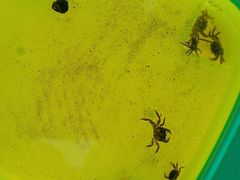 -北戴河东海水浴场