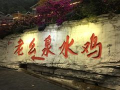 -老幺泉水鸡