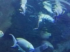 -南昌海洋公园