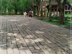 -同里国家湿地公园
