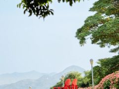 -深圳湾公园(南山区)