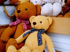 -济州岛泰迪熊博物馆