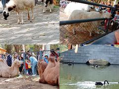 -长白岛森林公园