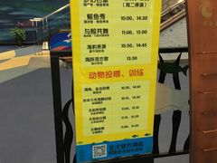 -芜湖新华联大白鲸海洋公园