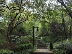 -杭州半山国家森林公园