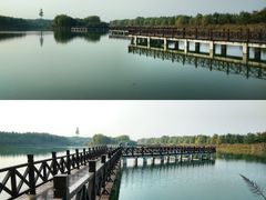 -南湖湿地公园
