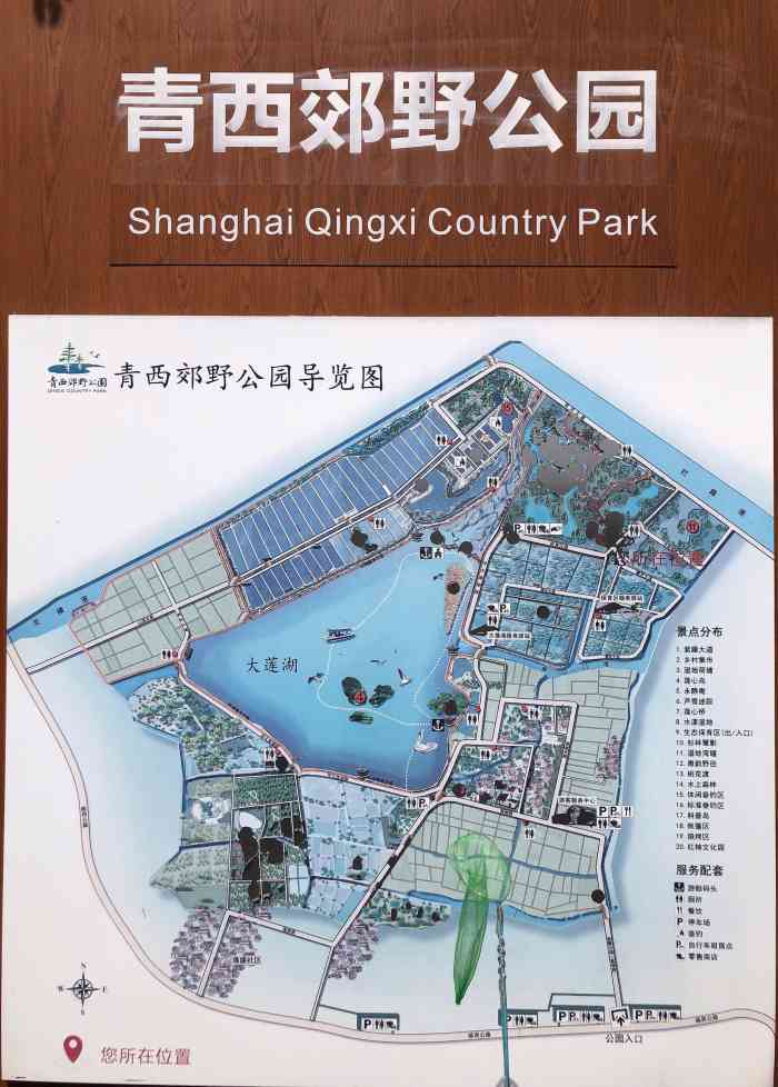 上海青西郊野公园-"春暖花开逛逛青西郊野公园 去年冬天虽然.