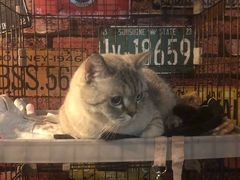 -MAX伯爵真人游戏密室体验馆(金沙湖店)