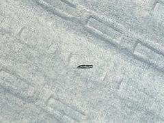 -广州市第一人民医院(院本部)