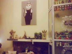 -猫色咖啡·猫咖