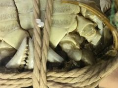 -喜洋洋蟹庄(阳澄湖店)