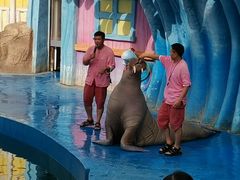 -华夏文旅海洋公园