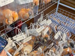 -蓝湾碧波·老字号·疍家非遗海上餐厅