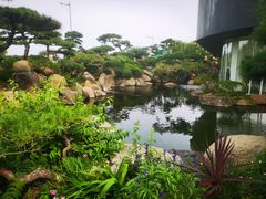 -罗红摄影艺术馆