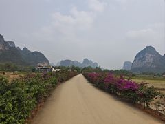 -明仕田园