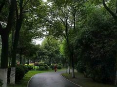-沙市市中山公园