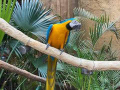 -杭州开元森泊度假乐园