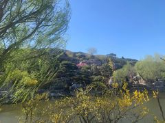 -北京西山国家森林公园