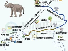 -野象谷景区