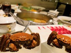 -汤城·料青山