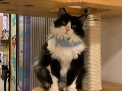 -10 corso como (江南店)