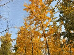 -汉长安城未央宫国家考古遗址公园