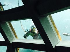 -西雅图水族馆
