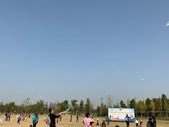 -上海长兴岛郊野公园