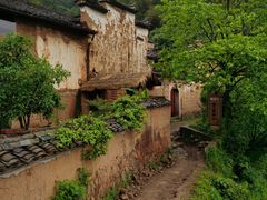 -杨家堂村