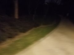 -昆山城市生态森林公园