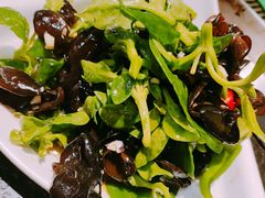 凉拌菜-老万烧烤(典逸心洲店)