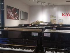 -柏斯音乐艺术中心·钢琴·吉他(世纪金源店)