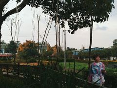 -洪湖家庭农场·团建·露营·会议