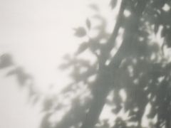 -溪口-滕头旅游景区