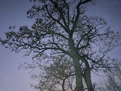 -乐道好声音量贩式KTV(北行店)