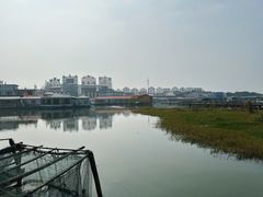 景观位-君豪蟹都·湖景·农家乐(蟹舫苑店)