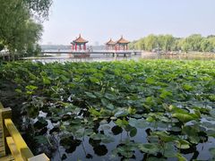 -长春市南湖公园