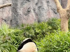 -石排湾郊野公园