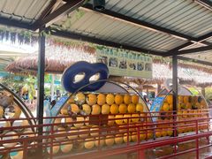 -上海玛雅海滩水公园