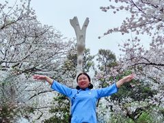 -武汉大学-樱园