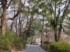 -岳麓山风景名胜区