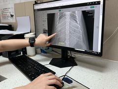 -瑞鹏宠物医院(大运分院)