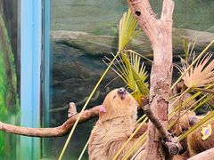 -杭州野生动物世界